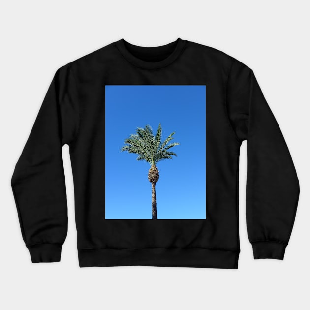 Single Palm Tree with Blue Sky2 Crewneck Sweatshirt by Sandraartist